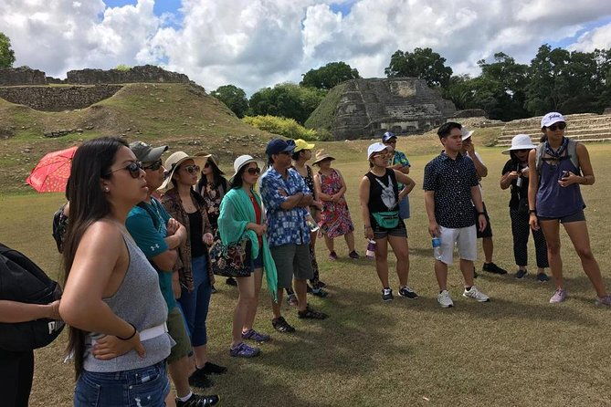 altun-ha-rainforest