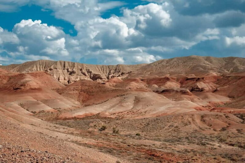 Altyn-Emel National Park: 1-Day Adventure - The Sum Up