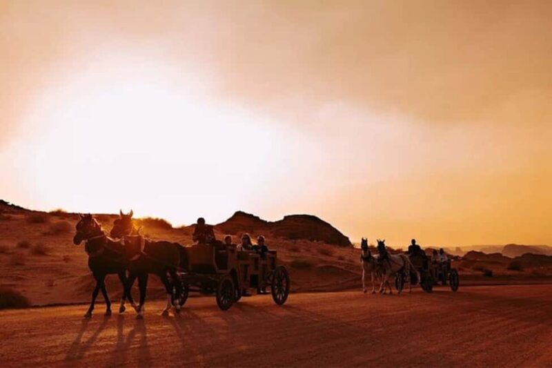 AlUla: Hegra After Dark Show with Chariot Ride - Frequently Asked Questions