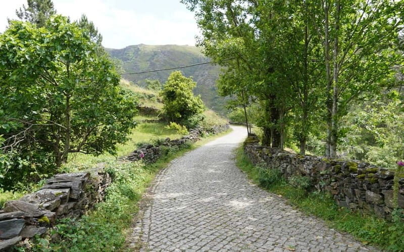 ALVÃO SHEPHERD'S HIKE - Setting the Scene: What is the Alvão Shepherd’s Hike?