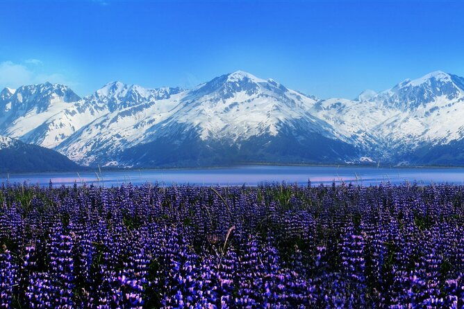 alyeska-girdwood-express