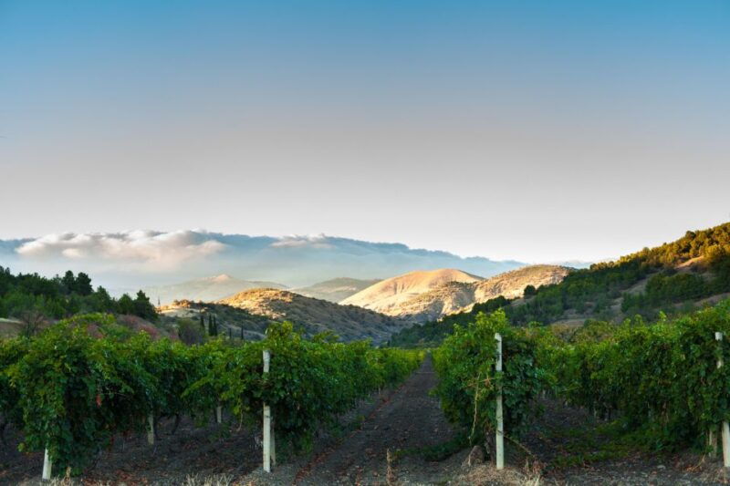 amador-county-wine-tasting-digital-passport