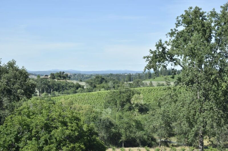 amador-county-wine-tasting-tour-private-tour-1-to-14-group