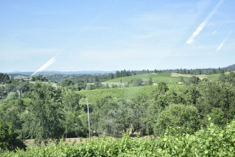 amador-county-wine-tasting-tour-private-tour-1-to-14-group