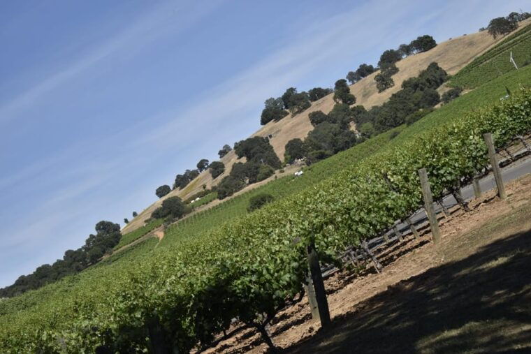 amador-county-wine-tasting-tour-private-tour-1-to-14-group