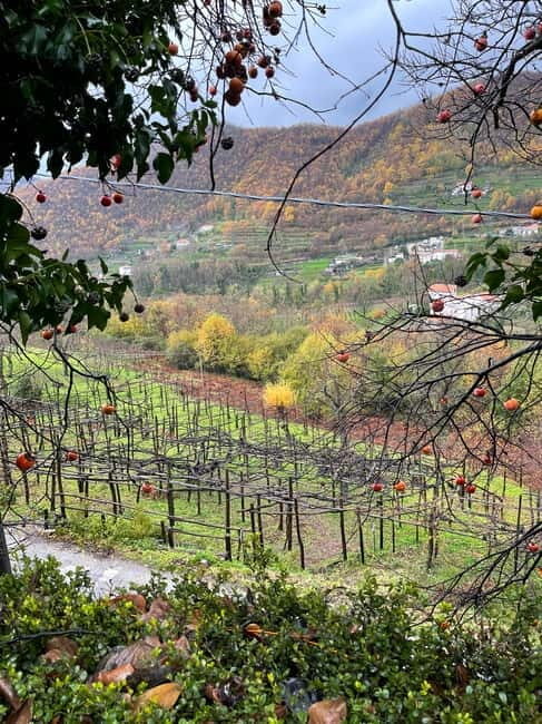 Amalfi Coast: Bomerano to Nocelle  The Path of the Gods - Price and Value