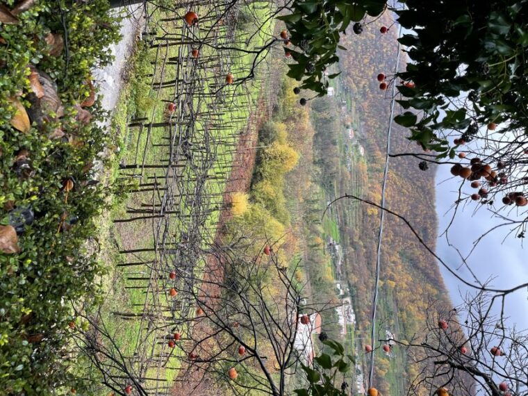 amalfi-coast-bomerano-to-nocelle-the-path-of-the-gods