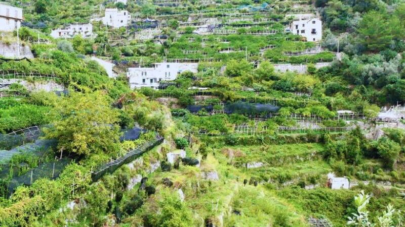 Amalfi Coast: Hike Along the Path of the Lemons - Who Would Love This Tour?