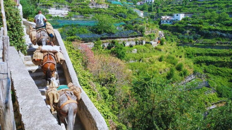 Amalfi Coast: Hike Along the Path of the Lemons - FAQs