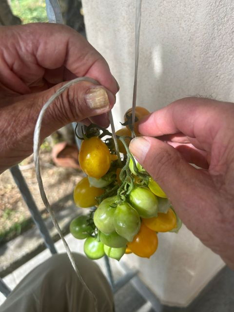 amalfi-coast-italian-dinner-in-acamporas-farm