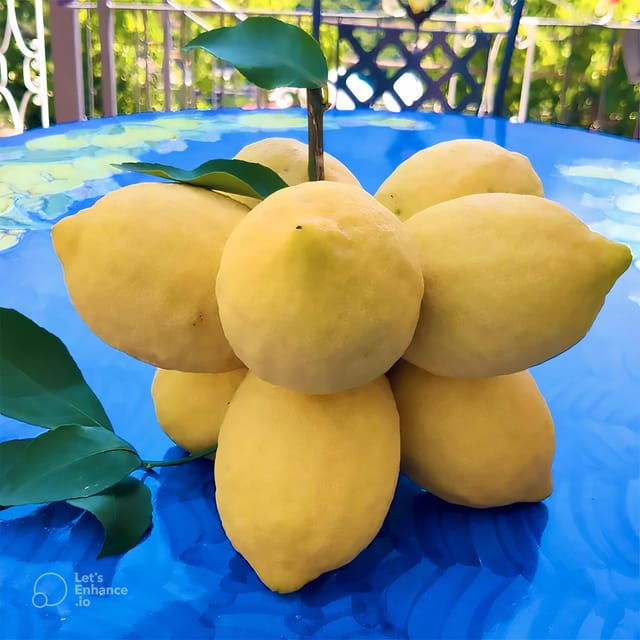 amalfi-coast-lemon-tour-with-tasting