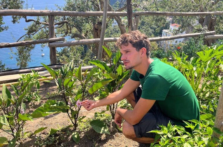 amalfi-coast-pizza-making-class-and-farmhouse-visit