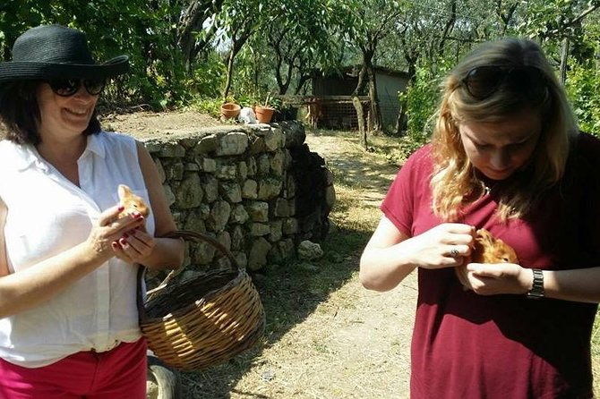 amalfi-coast-sorrento-cooking-class-school-at-farmhouse