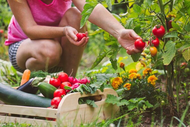 amalfi-cooking-class-and-farmhouse-visit-with-meal