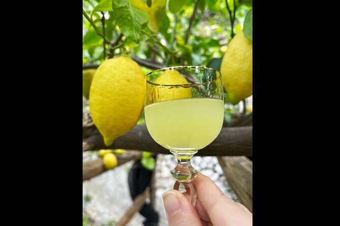 amalfi-lemon-tour-tasting-in-historical-garden-2