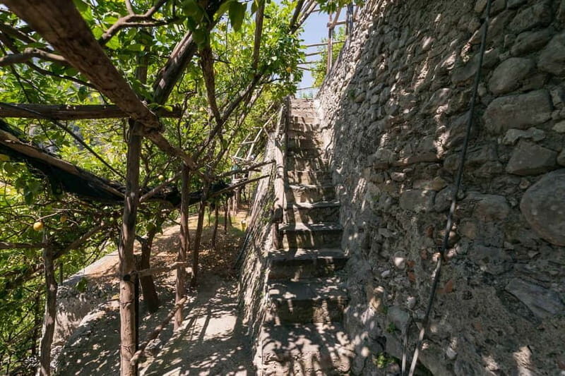 Amalfi Monumental Garden - Lemon Grove Guided Tour - Exploring the Amalfi Monumental Garden: A Detailed Review