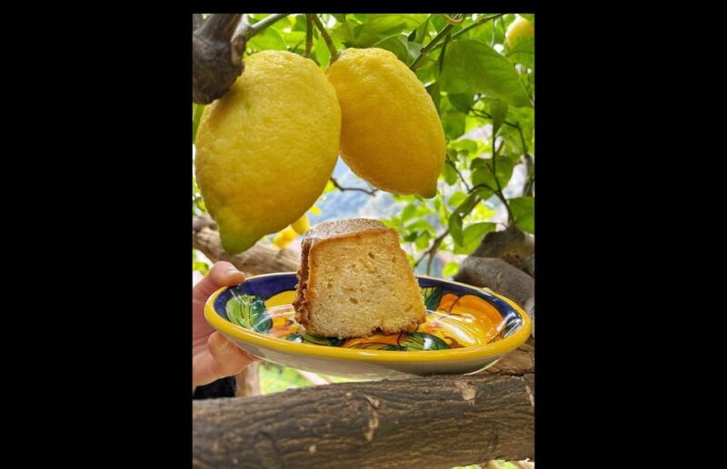 amalfi-organic-lemon-tour-tasting-in-the-historical-garden