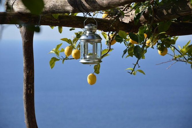 amalfi-ravello-positano-tour