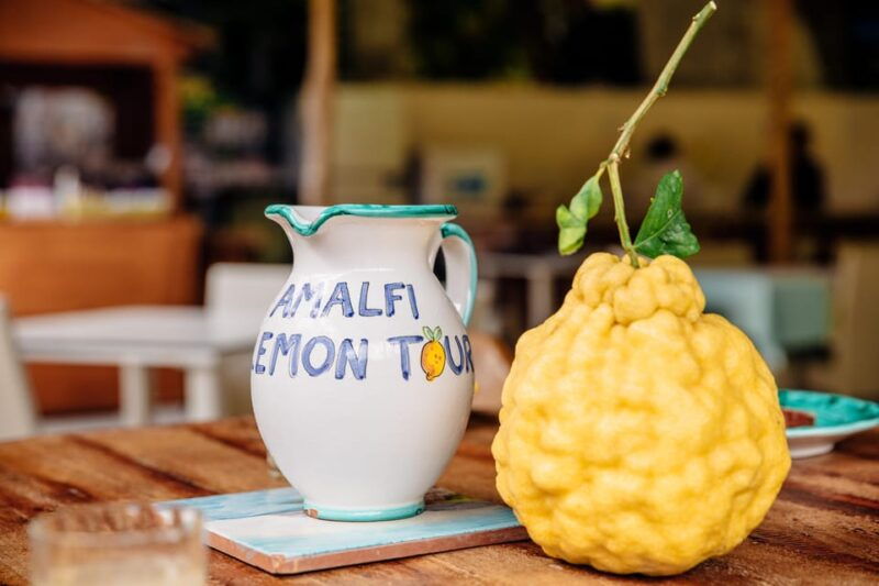 amalfi-vertical-lemon-farm-tour-tastings-and-rural-museum