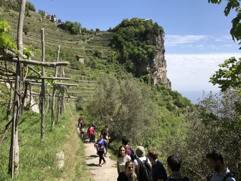 amalfi-walking-tour-between-furore-vertical-vineyards