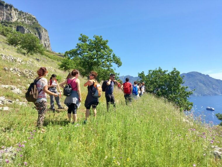 amalfi-walking-tour-between-furore-vertical-vineyards
