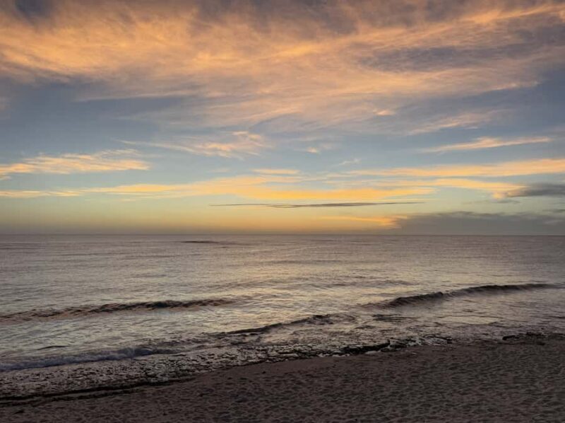 Amami Oshima Island Private Custom Tour with Local Guide - Key Points