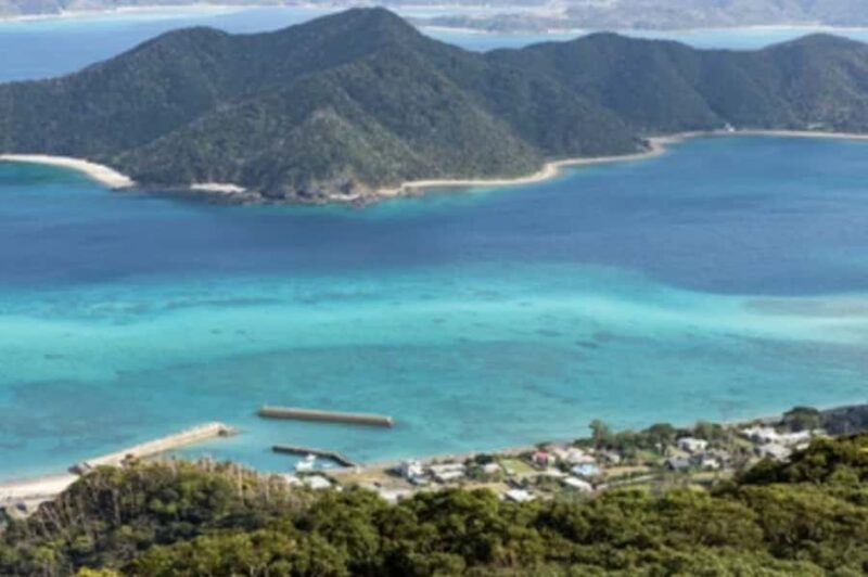 Amami Oshima Island Private Custom Tour with Local Guide - FAQ