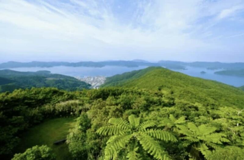 Amami Oshima Island Private Custom Tour with Local Guide - Final Thoughts