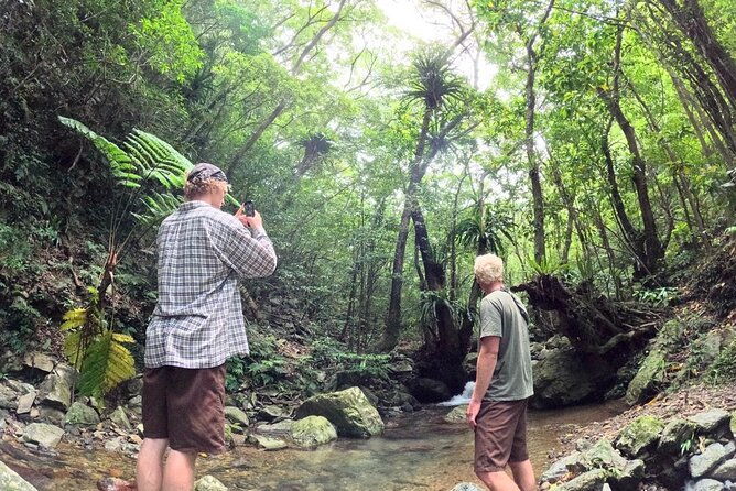 amami-oshima-mangrove-kayaking-waterfall-and-cape-walking-tour