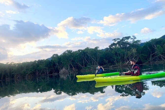 amami-oshima-mangrove-kayaking-waterfall-and-cape-walking-tour