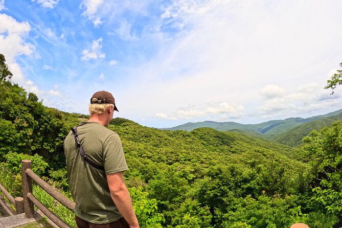 amami-oshima-mangrove-kayaking-waterfall-and-cape-walking-tour
