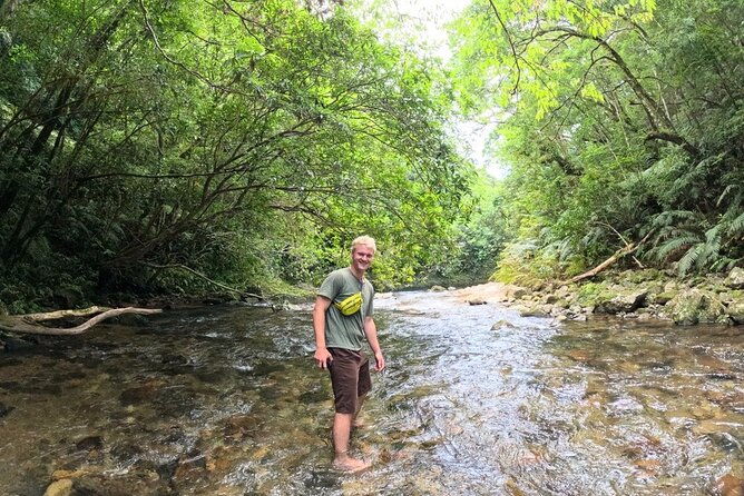amami-oshima-mangrove-kayaking-waterfall-and-cape-walking-tour