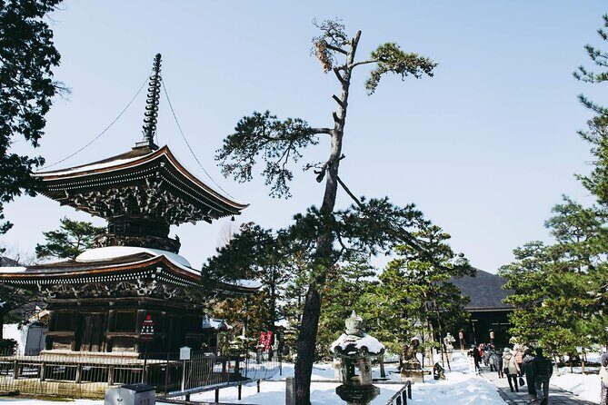 Amanohashidate and Miyama One Day Tour With Lunch - Practicalities and Logistics