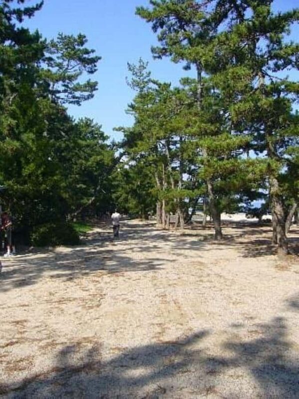 Amanohashidate: Guided Coastal Cycling Tour with Lunch - What You’ll Appreciate Most