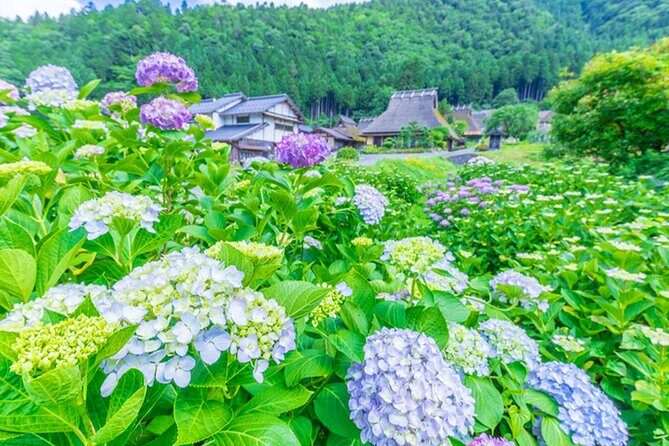 Amanohashidate Ine Funaya and Miyama Thatched Village Tour - Key Points