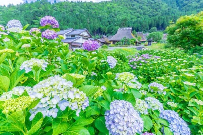 Amanohashidate: Ine Village Photo Safari with Boat Ride - The Itinerary and What You Can Expect