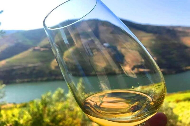 amarante-e-bike-tour-and-vinho-verde-from-porto