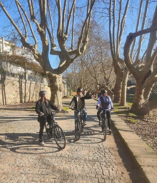 amarante-e-bike-tour-and-vinho-verde-from-porto
