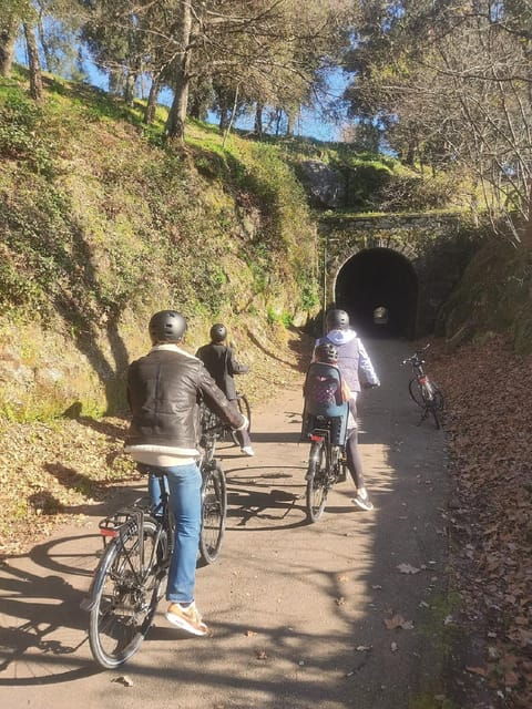 amarante-e-bike-tour-and-vinho-verde-from-porto