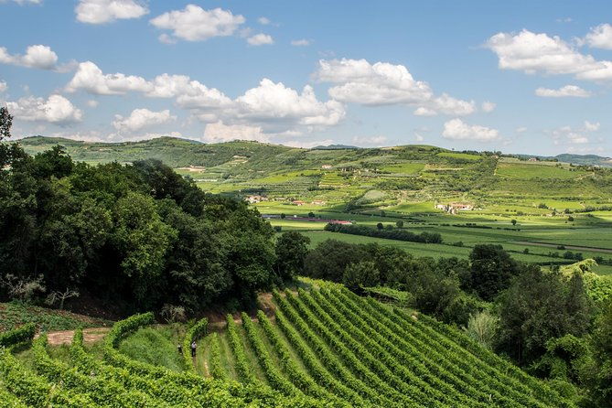 amarone-soave-wine-tour-visit-verona-from-venice