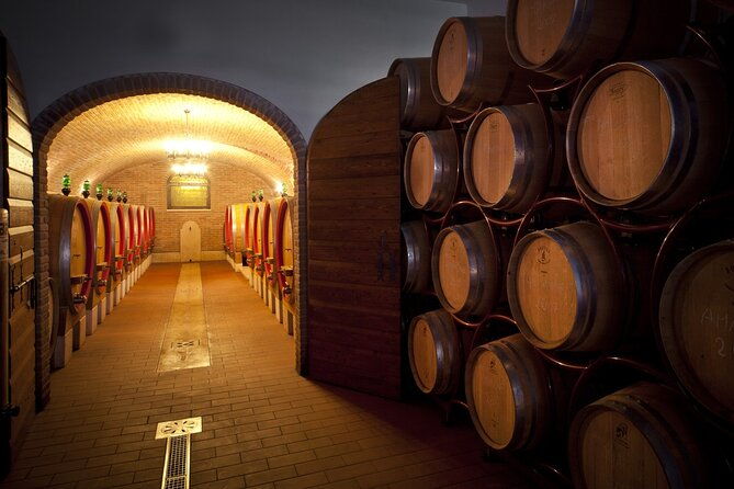 amarone-valpolicella-wine-tour-visit-verona-from-venice-2