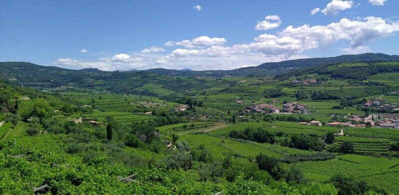 amarone-vertical-a-unique-experience-tasting-different-vintages-of-amarone