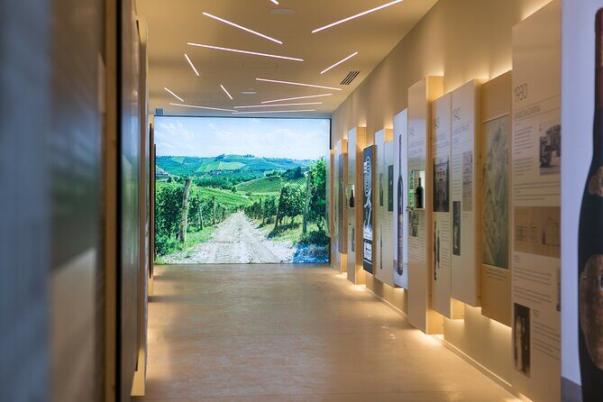 Amarone Wine Experience at Montresor winery - Key Points