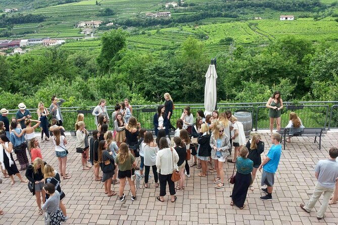 amarone-wine-tasting-from-verona