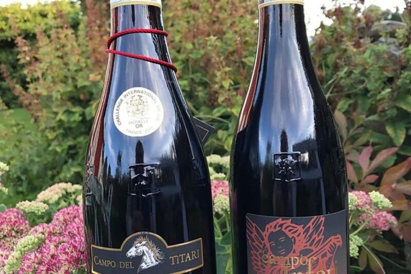 amarone-wine-tasting-tour-visit-verona-from-venice