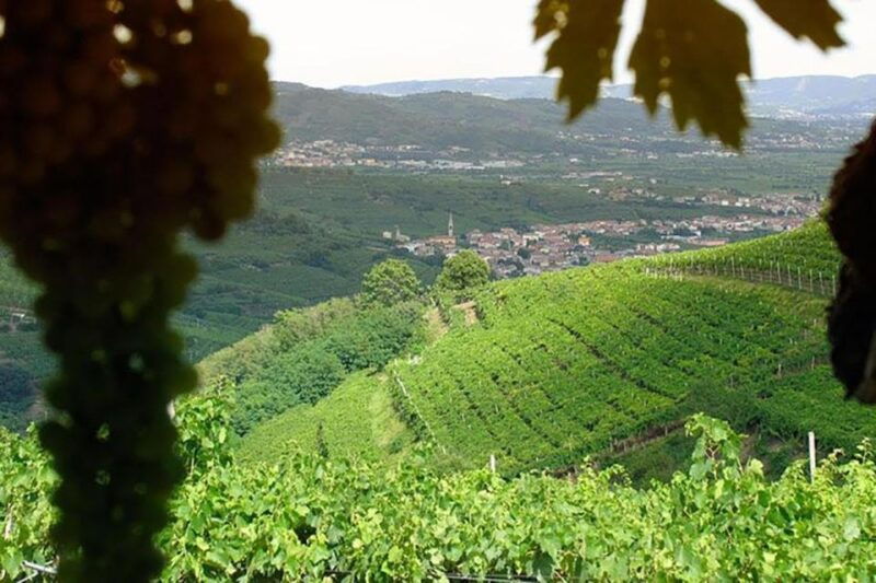 amarone-wine-tasting-tour-visit-verona-from-venice