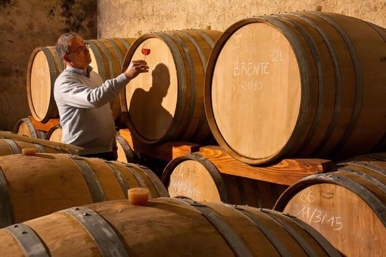 amarone-wine-tasting-tour-visit-verona-from-venice