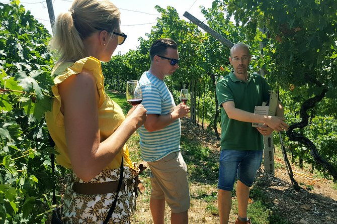 amarone-wine-tour-all-inclusive-full-day-with-lunch-and-expert-wine-guide