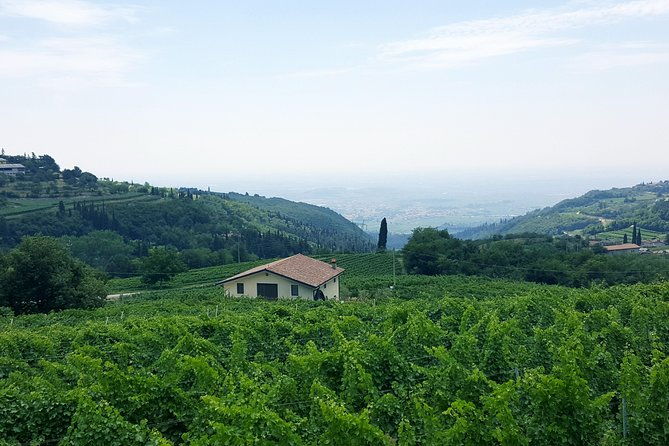 amarone-wine-tour-all-inclusive-full-day-with-lunch-and-expert-wine-guide
