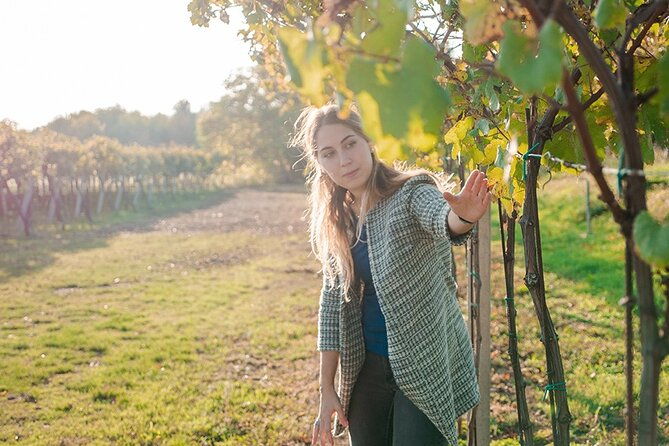 amarone-wine-tour